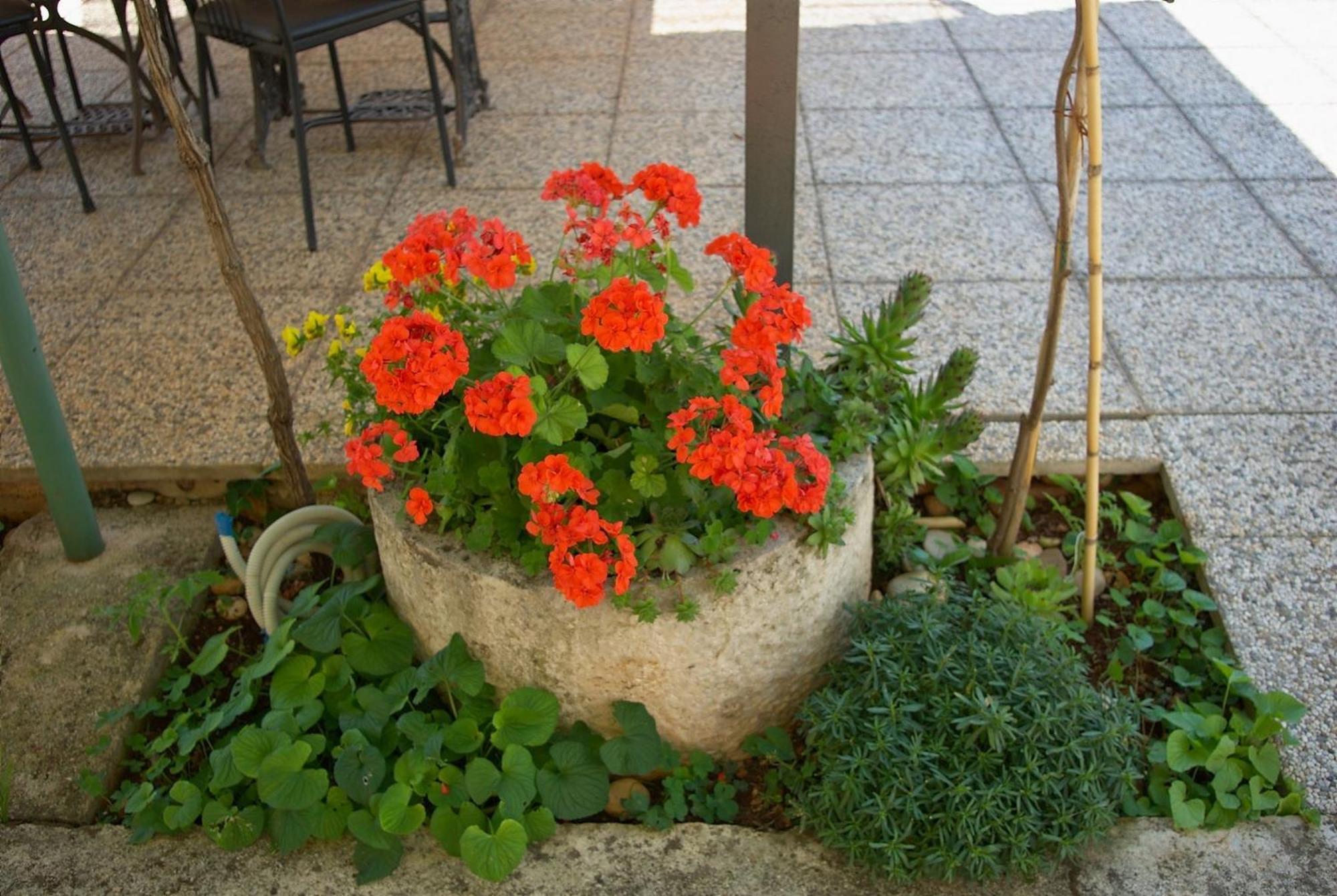 Apartments & Rooms Barbara أوماغ المظهر الخارجي الصورة