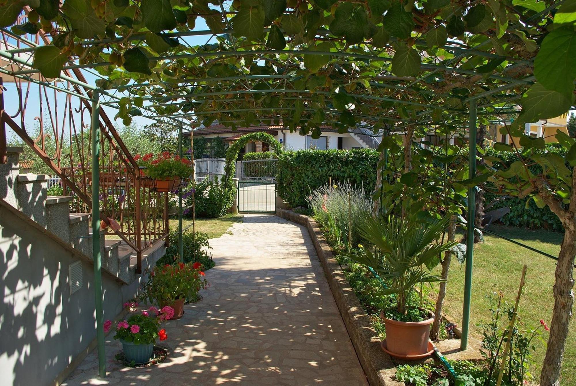 Apartments & Rooms Barbara أوماغ المظهر الخارجي الصورة